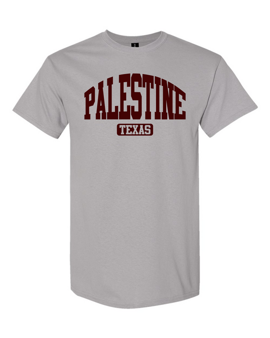 Palestine Texas Mound Graphic Tee