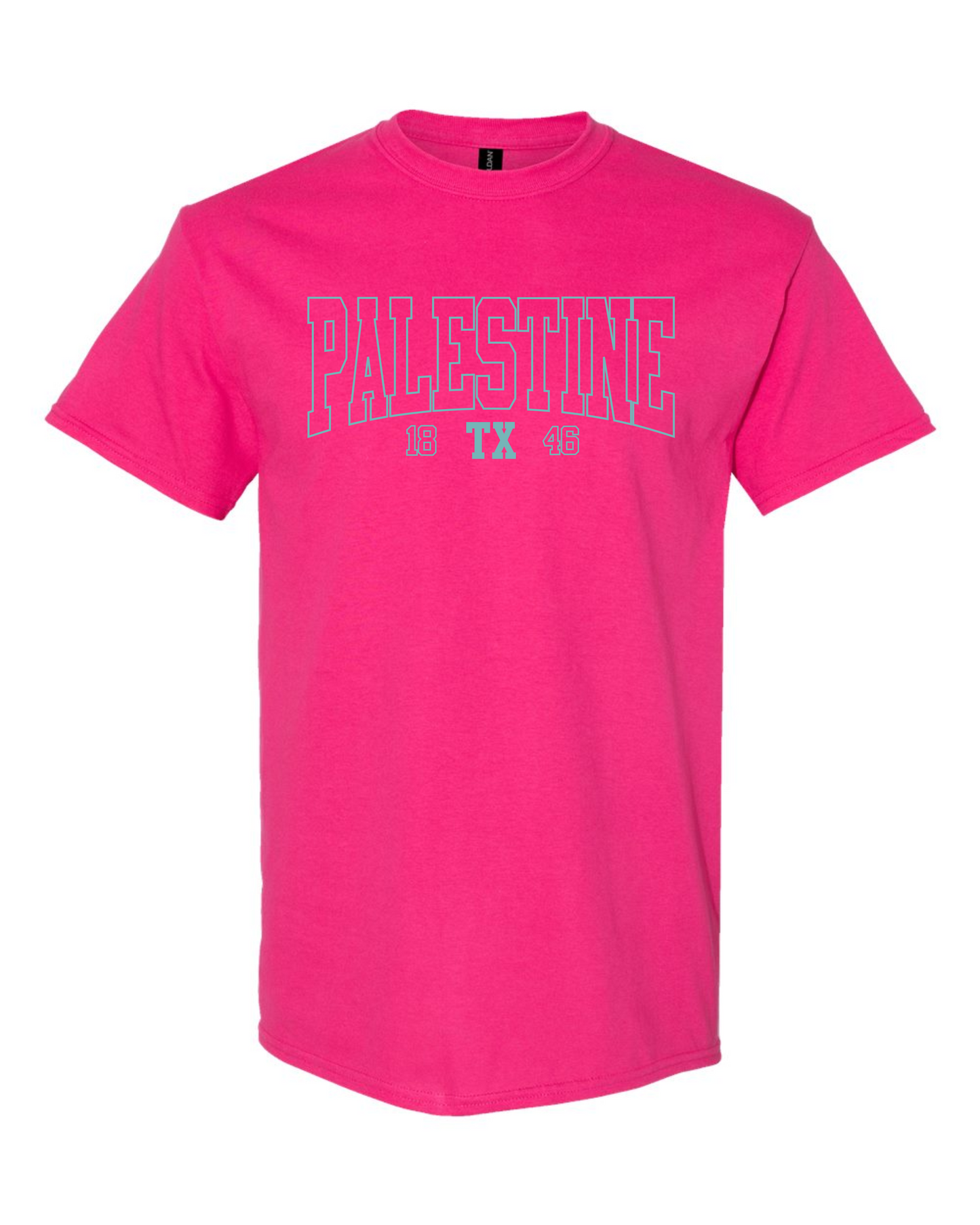Palestine TX 1846 Graphic Tee - Multicolors
