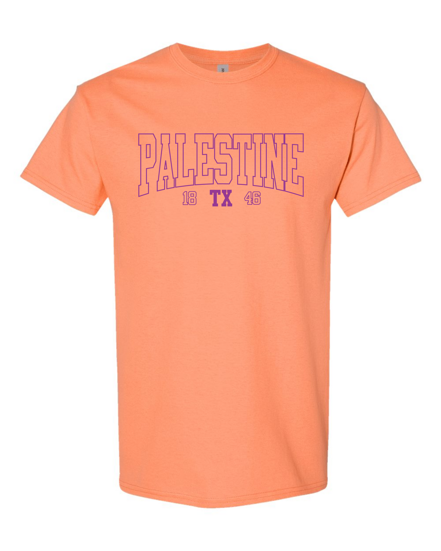 Palestine TX 1846 Graphic Tee - Multicolors